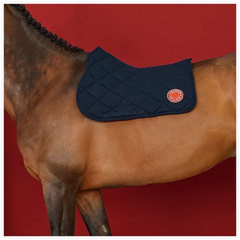 hermes horse bridle|hermes horse saddle pad.